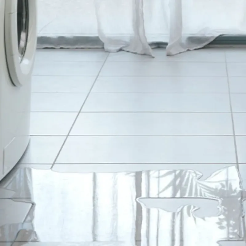 Appliance Leak Cleanup in Beltsville, MD
